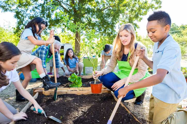 field trips for elementary students