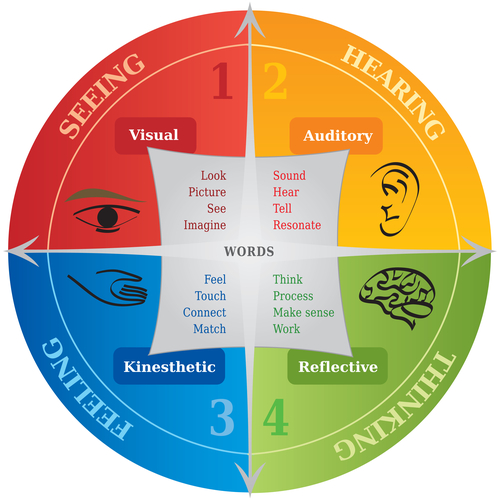 Infographic about the four learning styles: hearing, thinking, feeling, and seeing