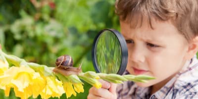 Young boy looking at a snail through a magnifying glass